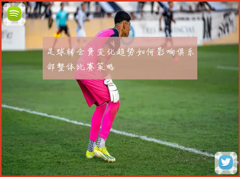 足球转会费变化趋势如何影响俱乐部整体比赛策略